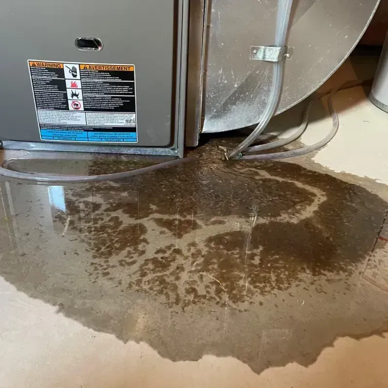 Appliance Leak Cleanup in Cross Mountain, TX